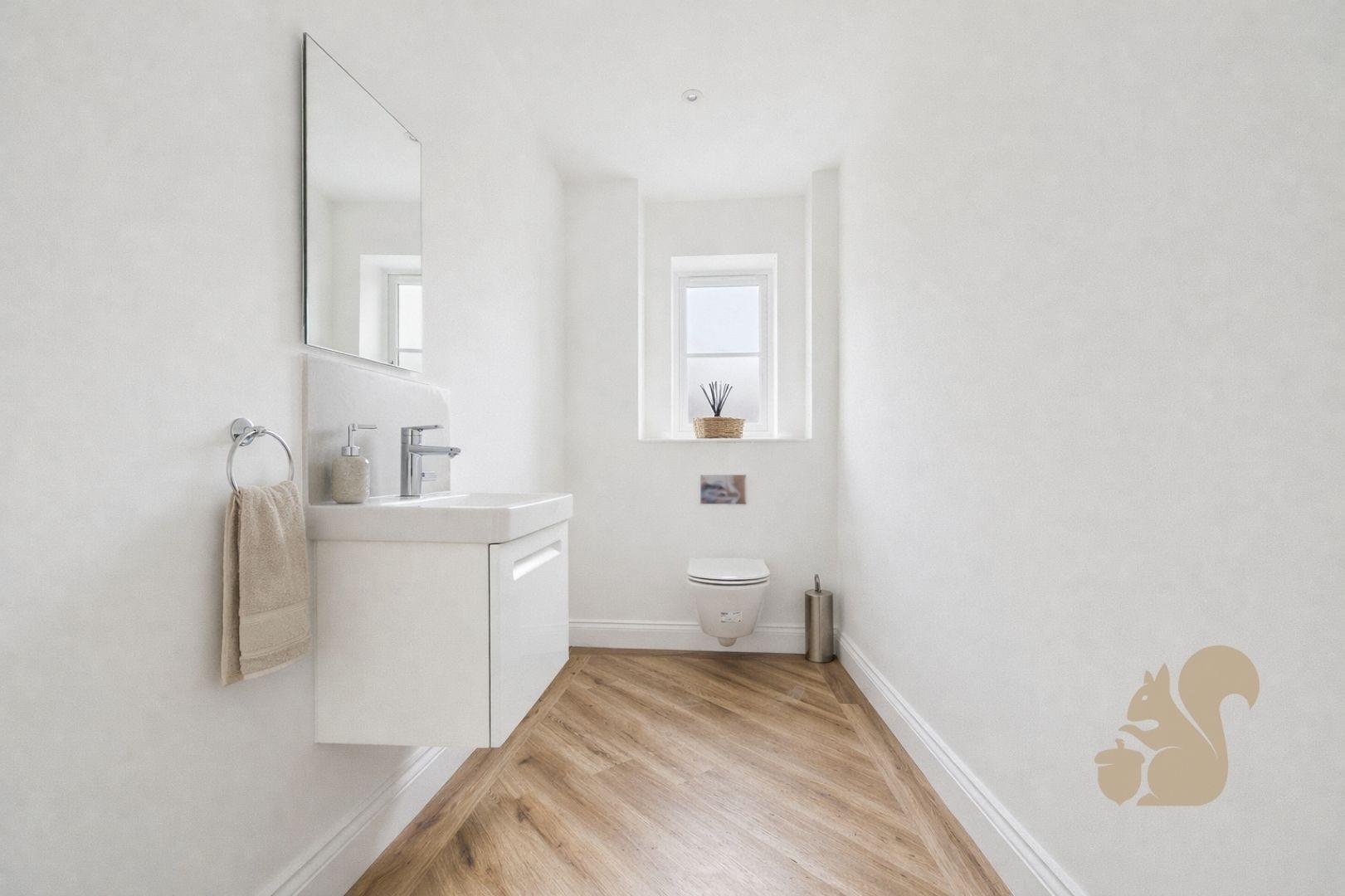 The Maypoles - Downstairs Toilet .jpg